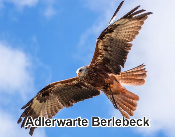 Adlerwarte Berlebeck